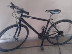 giant bike