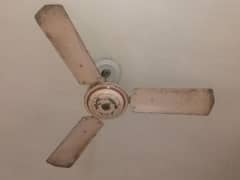 ceiling