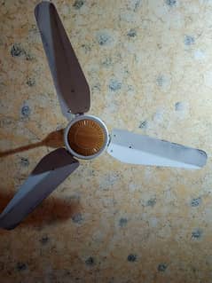 AL Usman Ceinling Fan 56"