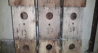 Love Birds / Java Birds Breeding Boxes
