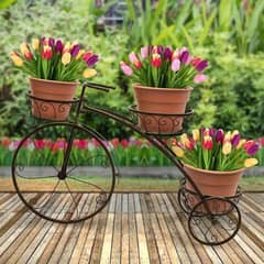 iron flower cycle