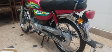 Honda cd 70 2023 model for sale