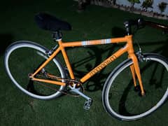 MOMENTUM Road Bicycle Japenese