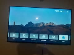 Vizio