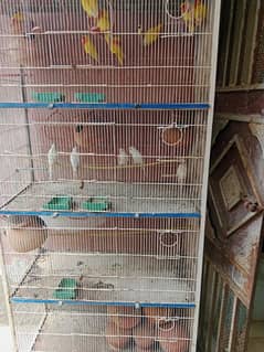 urgent sale