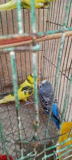 I
