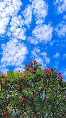 Muhammad Junaid Noor 