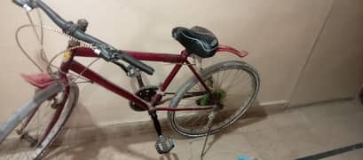 BICYCLE