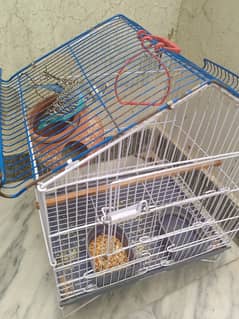 Parrots with Cage available for Sale
