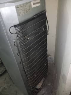 hair fridge