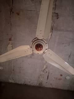 Ac/dc Pak fan