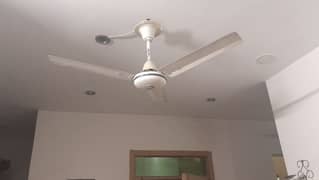 wahid celling fan for sale