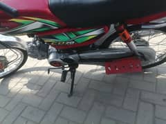 03056528131,,