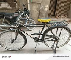 cycle mein kio masks nai  hai