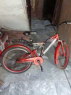 Shocks Cycle,