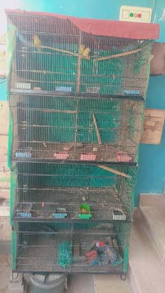 whole setup for sale with cage