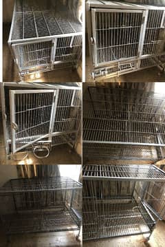 Cage (pingra)