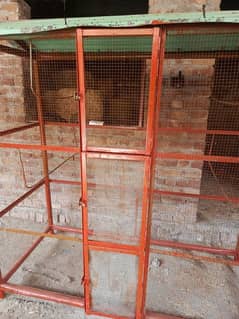 Parrots and Chicken Cage for Sale