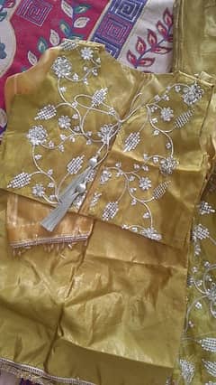 embroided sharara with short shirt