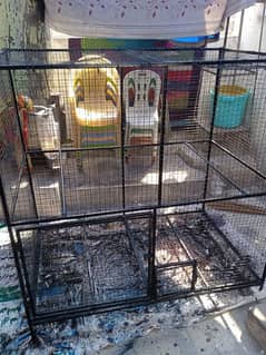 Cage for sale