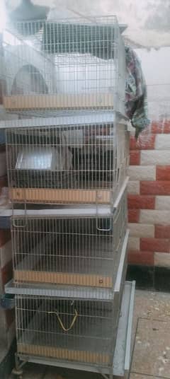 vip rabbit cage