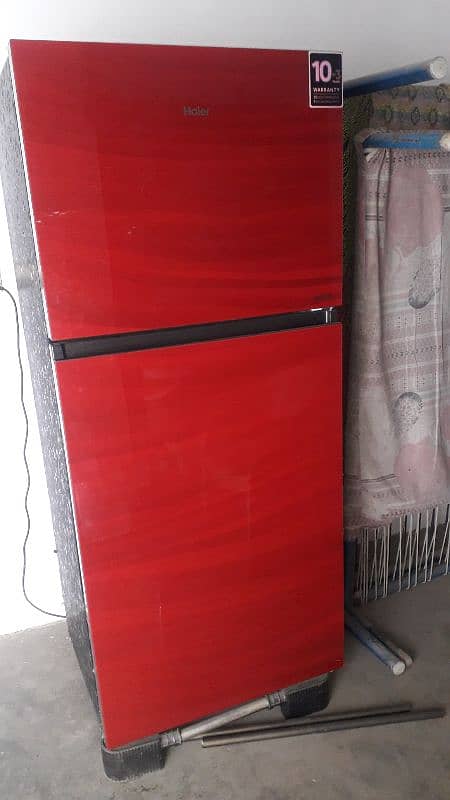 haier full size fridge 1