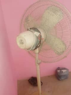 pak Fan
