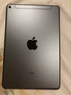 Ipad Mini 5