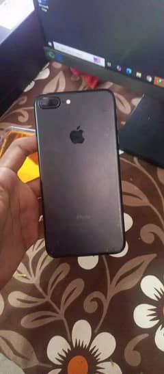 03016476113