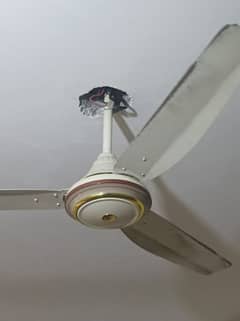 Hino celling fan