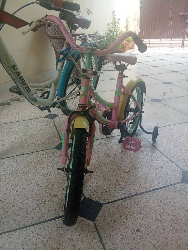 Cycles 1