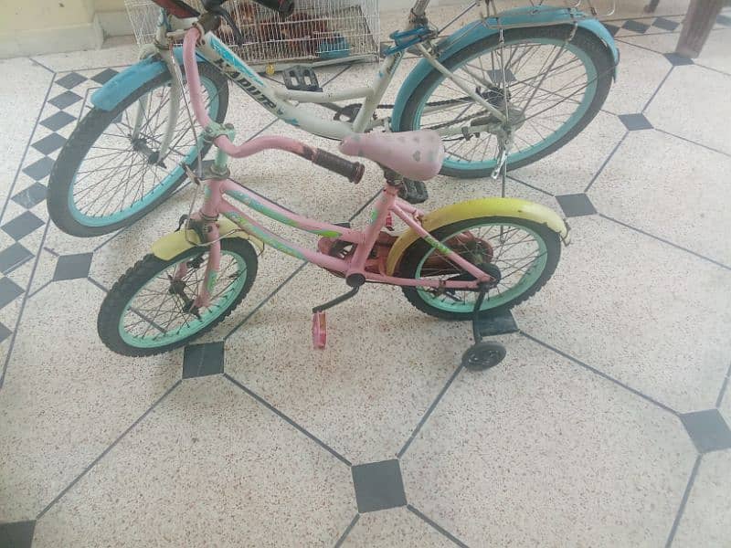 Cycles 0