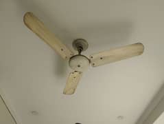 ceiling