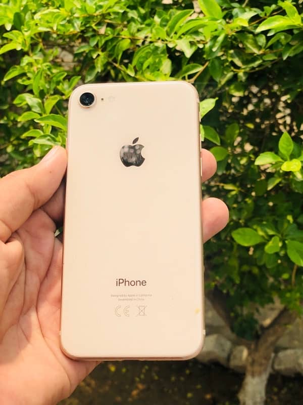 IPhone 8 64Gb 0