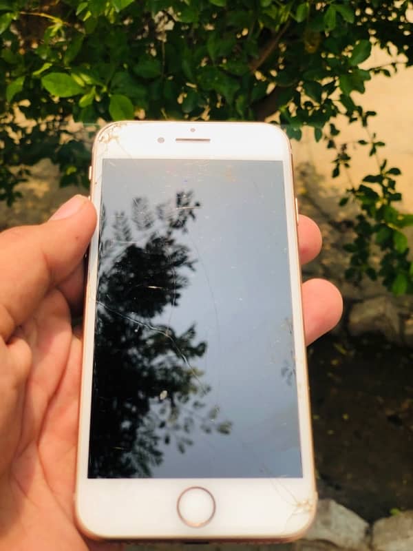 IPhone 8 64Gb 1