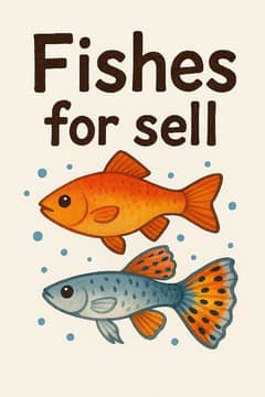 fishes for sell