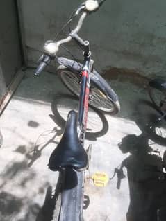 sport