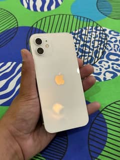 iphone 12 waterpack factory