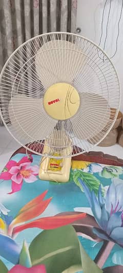Royal Fan