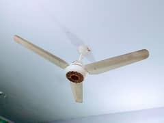 AC