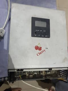 cherry