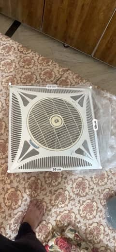 Grace ceiling fans