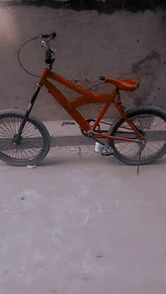 Cycle for 12 to 14 years