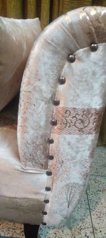 very beautiful Molty foam dewan 03335138001 5