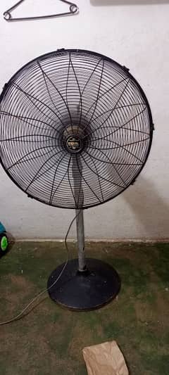 STAND