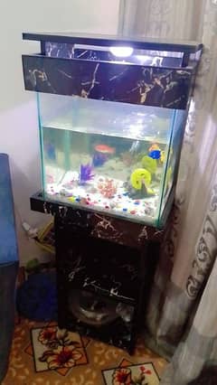 Aquarium