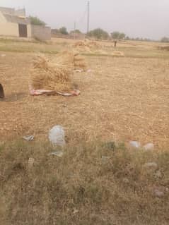 bhosa