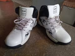 important shoes for cell