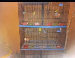 Folding Iron Cage