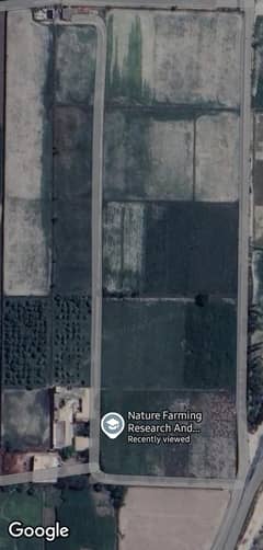12.5 Acres Agriculture Land for Sale